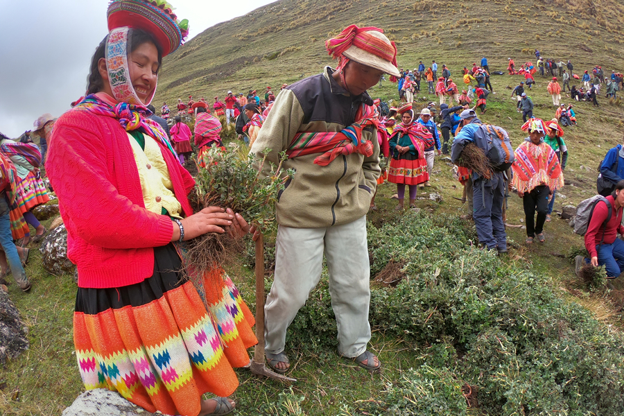 Who are the Quechua Porters